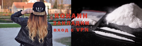 твердый Алексин